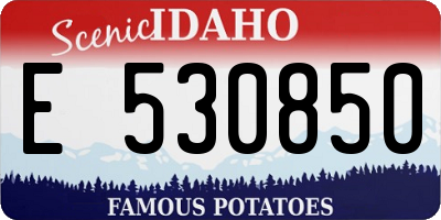 ID license plate E530850