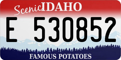 ID license plate E530852