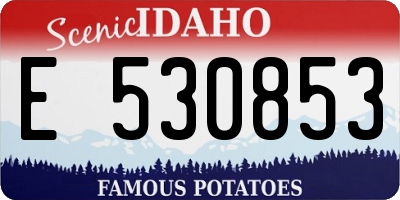 ID license plate E530853