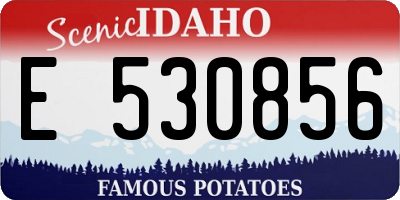 ID license plate E530856
