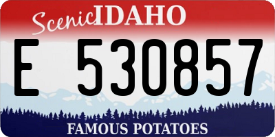 ID license plate E530857