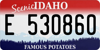 ID license plate E530860