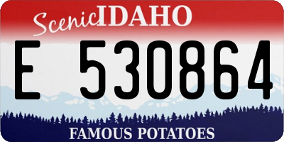 ID license plate E530864