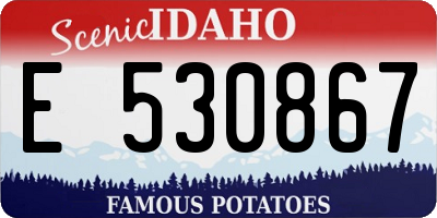 ID license plate E530867