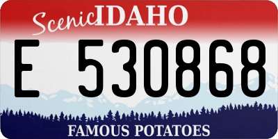 ID license plate E530868