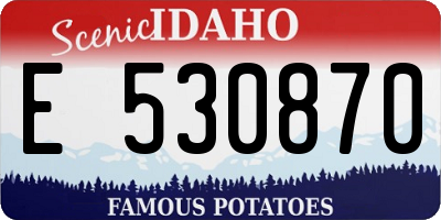 ID license plate E530870