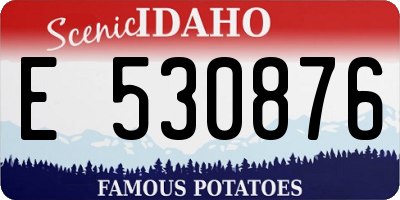 ID license plate E530876