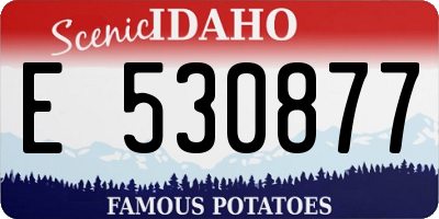 ID license plate E530877