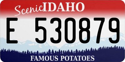 ID license plate E530879