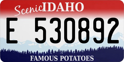 ID license plate E530892