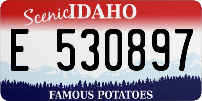 ID license plate E530897