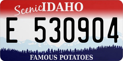 ID license plate E530904