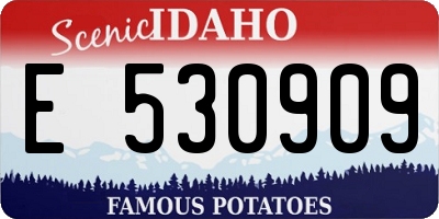 ID license plate E530909