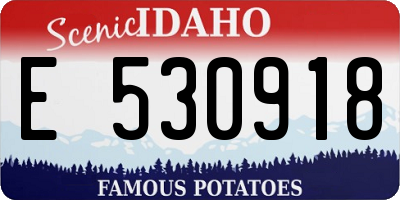 ID license plate E530918