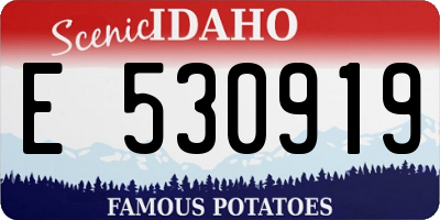 ID license plate E530919