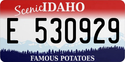 ID license plate E530929