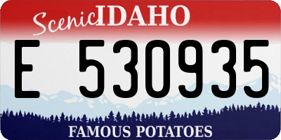 ID license plate E530935