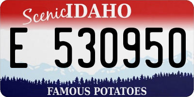 ID license plate E530950