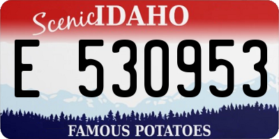 ID license plate E530953