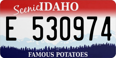 ID license plate E530974