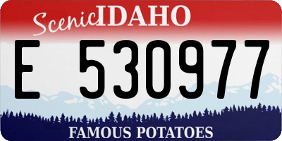 ID license plate E530977