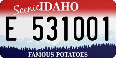 ID license plate E531001