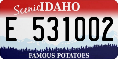 ID license plate E531002