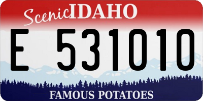 ID license plate E531010