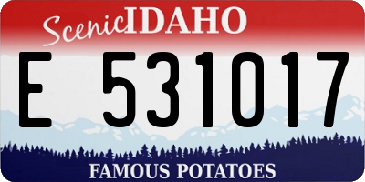 ID license plate E531017