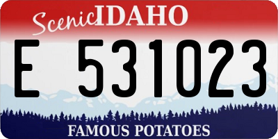 ID license plate E531023