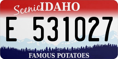 ID license plate E531027