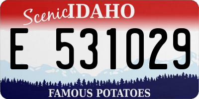 ID license plate E531029