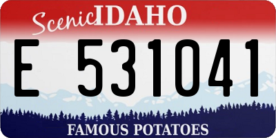 ID license plate E531041