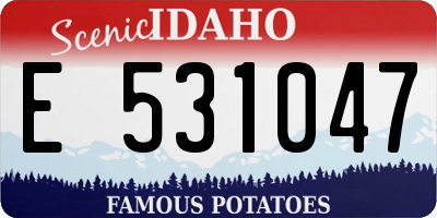 ID license plate E531047