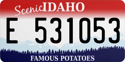 ID license plate E531053
