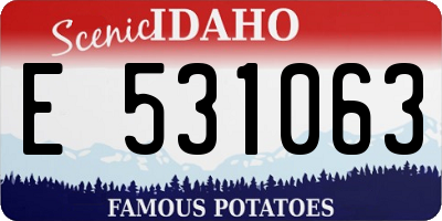 ID license plate E531063