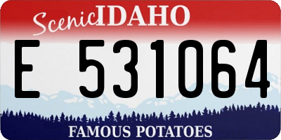 ID license plate E531064