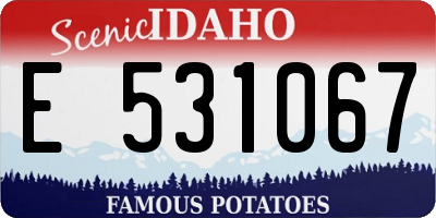 ID license plate E531067
