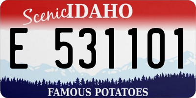 ID license plate E531101
