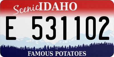ID license plate E531102