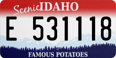 ID license plate E531118