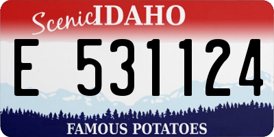 ID license plate E531124