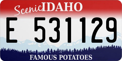 ID license plate E531129