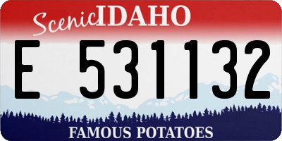 ID license plate E531132