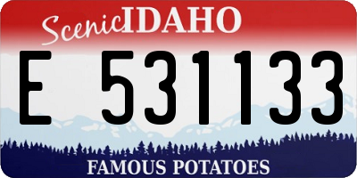ID license plate E531133