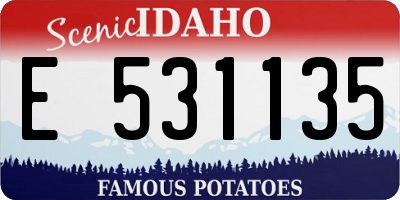 ID license plate E531135