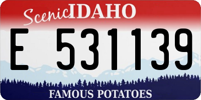 ID license plate E531139