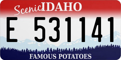 ID license plate E531141