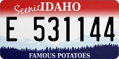 ID license plate E531144