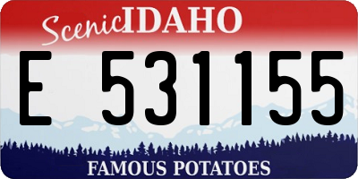 ID license plate E531155